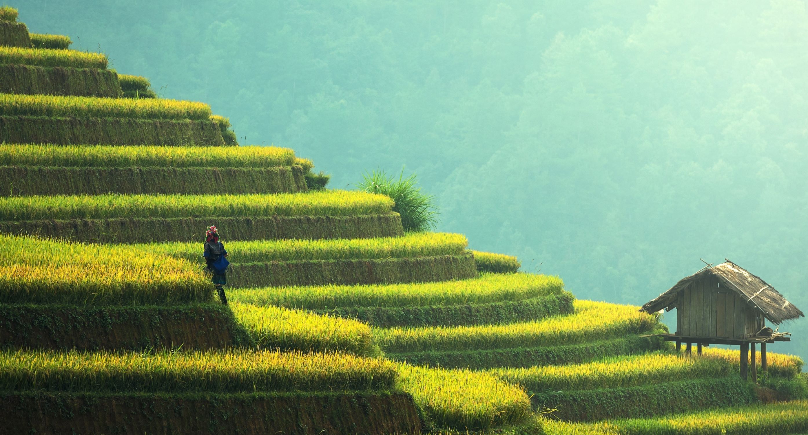 The future of the Indo-Pacific: Building sustainable value chains in Asia.